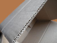 carton double cannelure